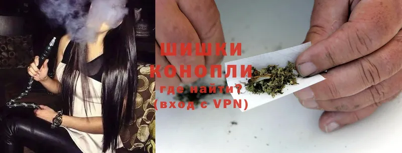 Каннабис OG Kush  Электрогорск 